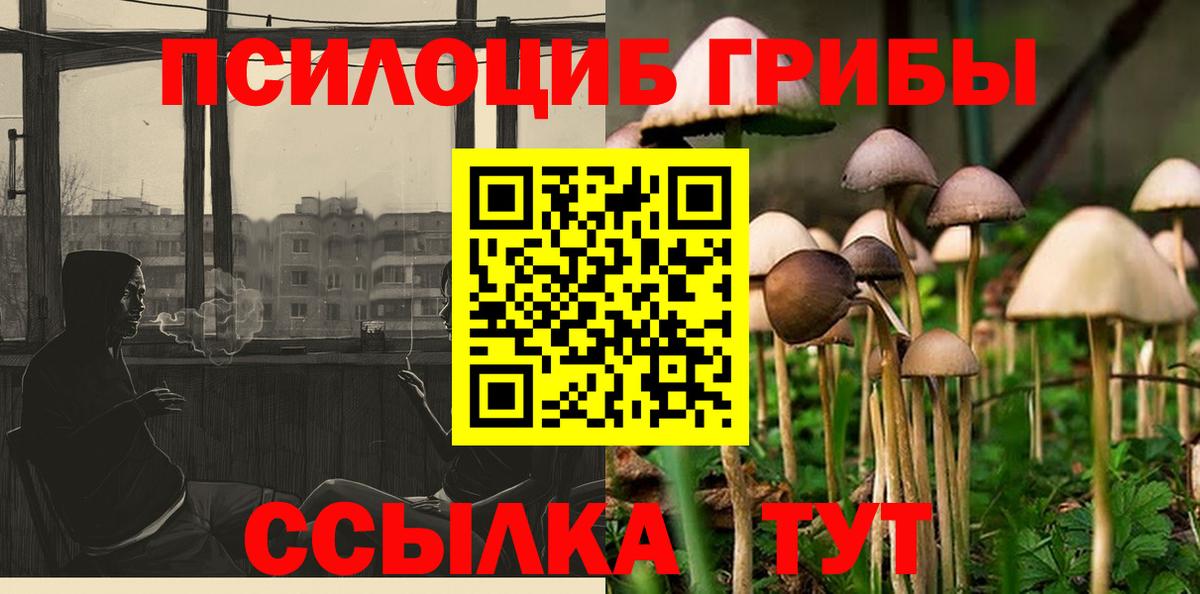Асино  Галлюциногенные грибы Psilocybe  Вход с VPN  Галлюциногенные грибы MAGIC MUSHROOMS 