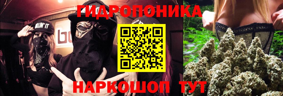 Асино  Шишки марихуана SATIVA & INDICA  Бошки марихуана THC 21%  МАРИХУАНА Ganja  Вход с VPN  Канабис Ganja 